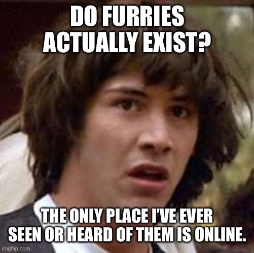 Maybe it’s just an online thing or I’m isolated from reality | DO FURRIES ACTUALLY EXIST? THE ONLY PLACE I’VE EVER SEEN OR HEARD OF THEM IS ONLINE. | image tagged in memes,conspiracy keanu | made w/ Imgflip meme maker