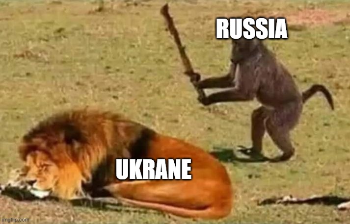 sorry im late | RUSSIA; UKRANE | image tagged in drunk monkey | made w/ Imgflip meme maker