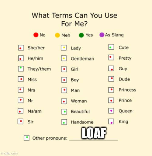 YES | LOAF | image tagged in pronouns sheet | made w/ Imgflip meme maker