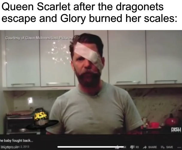 *Follows a dead stream, posts one meme, leaves without elaborating further* (I just thought of this meme) | Queen Scarlet after the dragonets escape and Glory burned her scales: | made w/ Imgflip meme maker