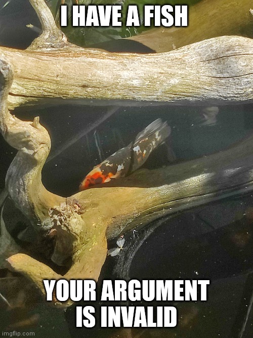 I HAVE A FISH; YOUR ARGUMENT IS INVALID | made w/ Imgflip meme maker