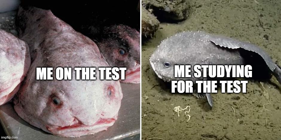 ME ON THE TEST; ME STUDYING FOR THE TEST | image tagged in first world problems | made w/ Imgflip meme maker