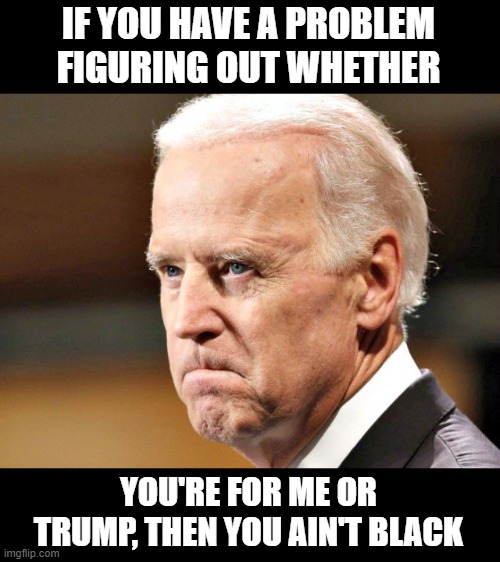 Biden P.O.ed | IF YOU HAVE A PROBLEM FIGURING OUT WHETHER YOU'RE FOR ME OR TRUMP, THEN YOU AIN'T BLACK | image tagged in biden p o ed | made w/ Imgflip meme maker