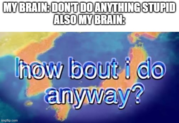 iMAGE tITLE |  MY BRAIN: DON'T DO ANYTHING STUPID
ALSO MY BRAIN: | image tagged in how bout i do anyway,brain,stupid,common sense,uwu,memes | made w/ Imgflip meme maker