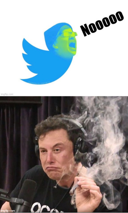 image tagged in twit,elon musk smoking a joint | made w/ Imgflip meme maker