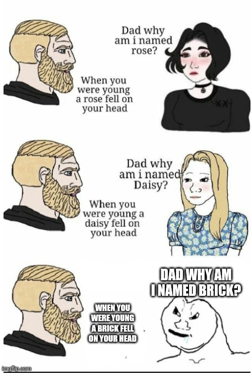 oh hey brick | DAD WHY AM I NAMED BRICK? WHEN YOU WERE YOUNG A BRICK FELL ON YOUR HEAD | image tagged in oh hey brick | made w/ Imgflip meme maker