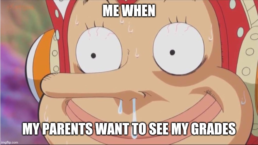 Ussop | ME WHEN; MY PARENTS WANT TO SEE MY GRADES | image tagged in ussop | made w/ Imgflip meme maker