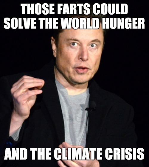 musk | THOSE FARTS COULD SOLVE THE WORLD HUNGER AND THE CLIMATE CRISIS | image tagged in musk | made w/ Imgflip meme maker