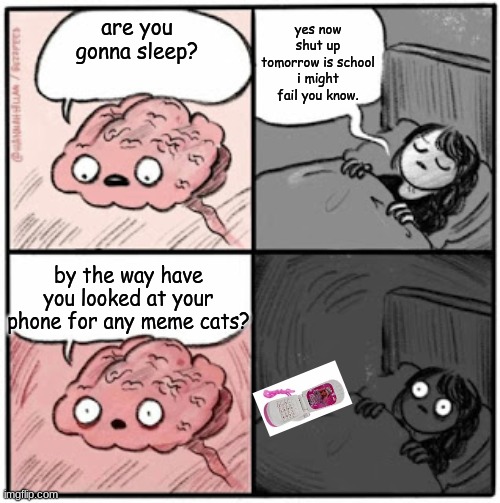 Brain Before Sleep | yes now shut up tomorrow is school i might fail you know. are you gonna sleep? by the way have you looked at your phone for any meme cats? | image tagged in brain before sleep | made w/ Imgflip meme maker