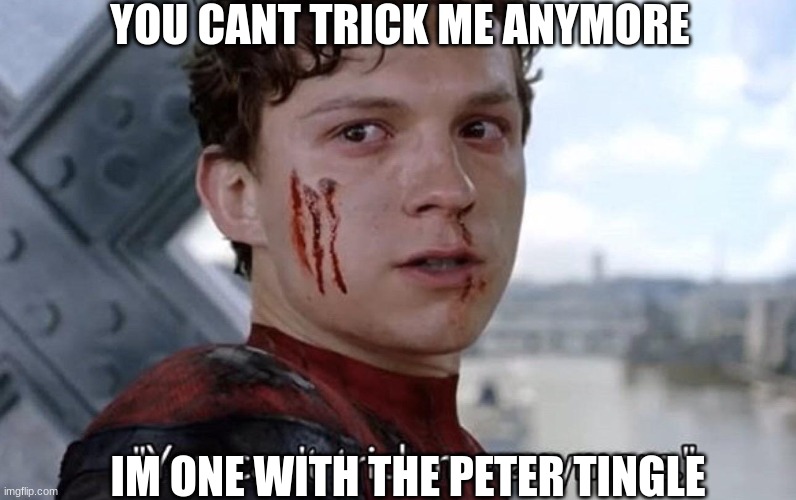 You can't trick me anymore | YOU CANT TRICK ME ANYMORE; IM ONE WITH THE PETER TINGLE | image tagged in you can't trick me anymore | made w/ Imgflip meme maker
