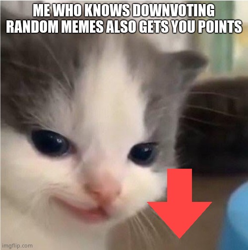 send this to an upvote beggar | ME WHO KNOWS DOWNVOTING RANDOM MEMES ALSO GETS YOU POINTS | image tagged in hehe cat | made w/ Imgflip meme maker
