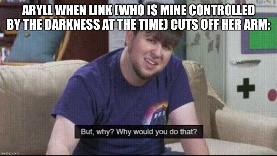 OC meme (I still need to draw Aryll, I might do that later) | ARYLL WHEN LINK (WHO IS MINE CONTROLLED BY THE DARKNESS AT THE TIME) CUTS OFF HER ARM: | image tagged in but why why would you do that | made w/ Imgflip meme maker