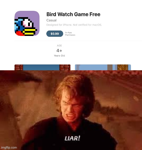 Liar!!!!!!! | image tagged in anakin liar,you had one job | made w/ Imgflip meme maker