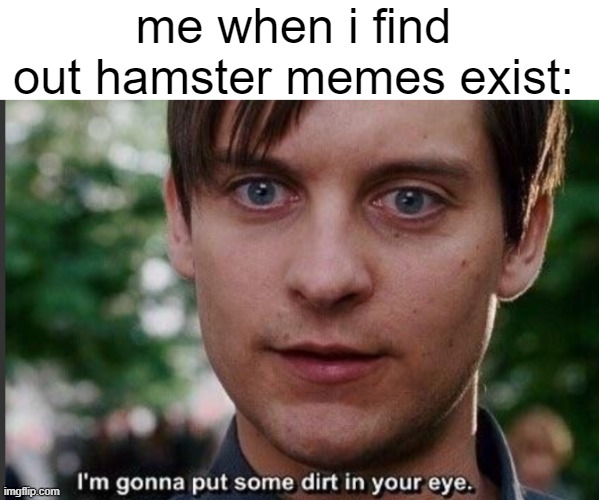 I'm gonna put some dirt in your eye | me when i find out hamster memes exist: | image tagged in i'm gonna put some dirt in your eye,hamster | made w/ Imgflip meme maker