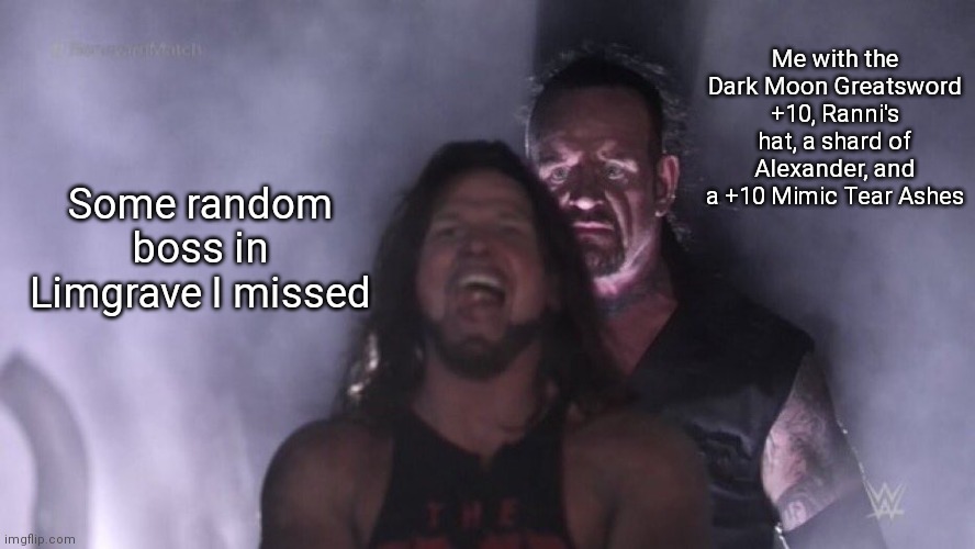 AJ Styles & Undertaker | Me with the Dark Moon Greatsword +10, Ranni's hat, a shard of Alexander, and a +10 Mimic Tear Ashes; Some random boss in Limgrave I missed | image tagged in aj styles undertaker | made w/ Imgflip meme maker