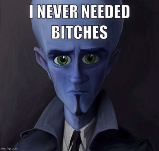 Mfs be like: "You have no bitches". And I'm like: "Bro, R34 exists" | image tagged in memes | made w/ Imgflip meme maker