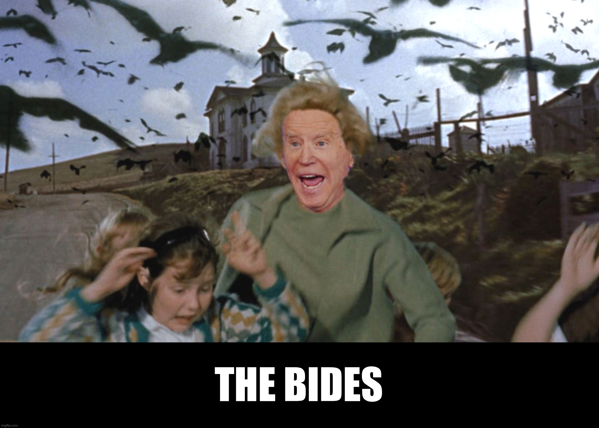 Bad Photoshop Sunday presents:  The face you make when you're trying to give a speech | THE BIDES | image tagged in bad photoshop sunday,joe biden,the birds,alfred hitchcock | made w/ Imgflip meme maker