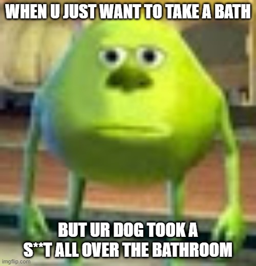 Sully Wazowski | WHEN U JUST WANT TO TAKE A BATH; BUT UR DOG TOOK A S**T ALL OVER THE BATHROOM | image tagged in sully wazowski | made w/ Imgflip meme maker