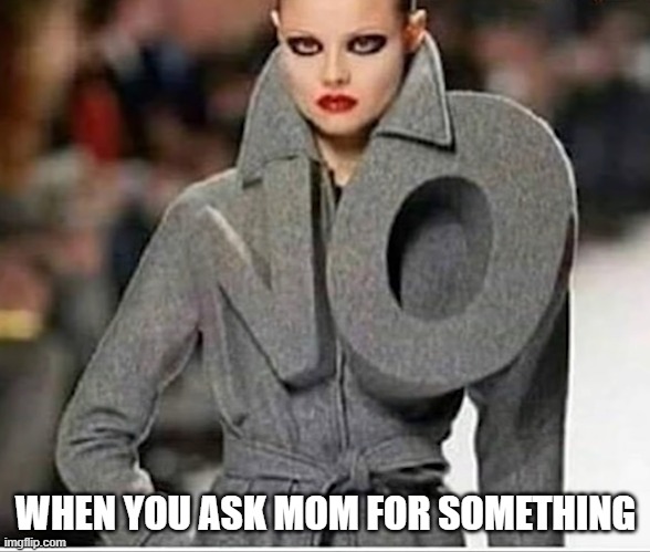 No | WHEN YOU ASK MOM FOR SOMETHING | image tagged in funny memes | made w/ Imgflip meme maker