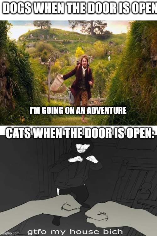Blank White Template | DOGS WHEN THE DOOR IS OPEN:; I'M GOING ON AN ADVENTURE; CATS WHEN THE DOOR IS OPEN: | image tagged in gtfo my house bich,tomato,dogs,cats,oh wow are you actually reading these tags | made w/ Imgflip meme maker