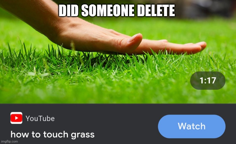 How to touch grass | DID SOMEONE DELETE | image tagged in how to touch grass | made w/ Imgflip meme maker