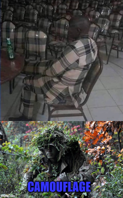 CAMOUFLAGE | image tagged in camouflage | made w/ Imgflip meme maker