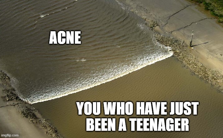 Be a teenager | ACNE; YOU WHO HAVE JUST
BEEN A TEENAGER | image tagged in you versus acne,teenagers,acne,teen | made w/ Imgflip meme maker
