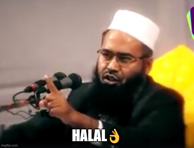 haram-halal | HALAL? | image tagged in haram-halal | made w/ Imgflip meme maker