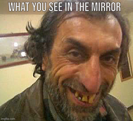 WHAT YOU SEE IN THE MIRROR | image tagged in ugly guy | made w/ Imgflip meme maker