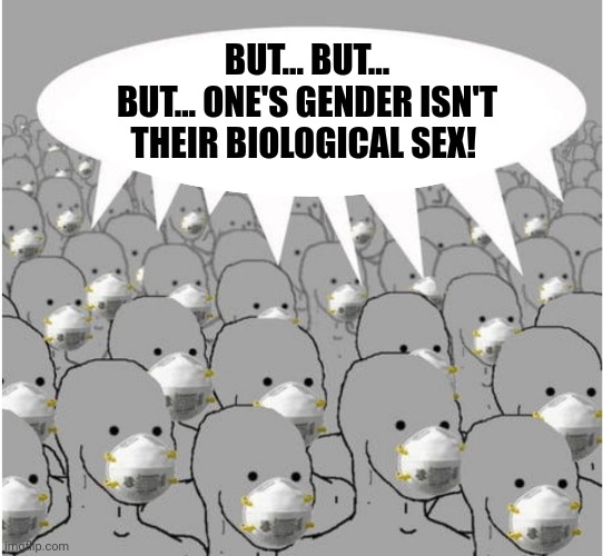 Masked NPC crowd | BUT... BUT... BUT... ONE'S GENDER ISN'T THEIR BIOLOGICAL SEX! | image tagged in masked npc crowd | made w/ Imgflip meme maker