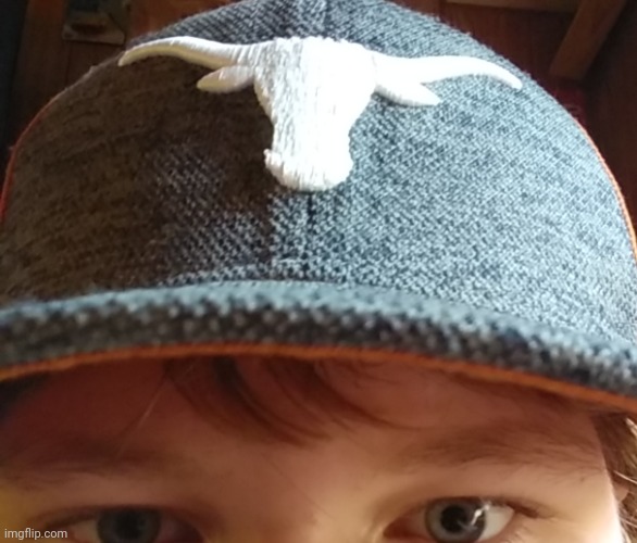 I used to think the longhorns thing was an upside down person | made w/ Imgflip meme maker