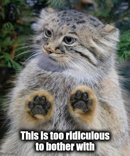This is too ridiculous
 to bother with | made w/ Imgflip meme maker