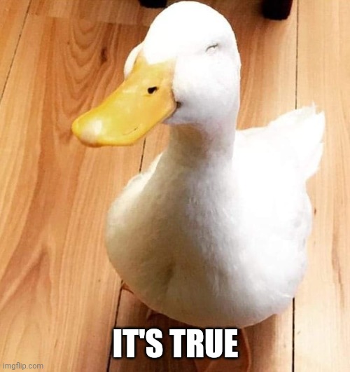 SMILE DUCK | IT'S TRUE | image tagged in smile duck | made w/ Imgflip meme maker