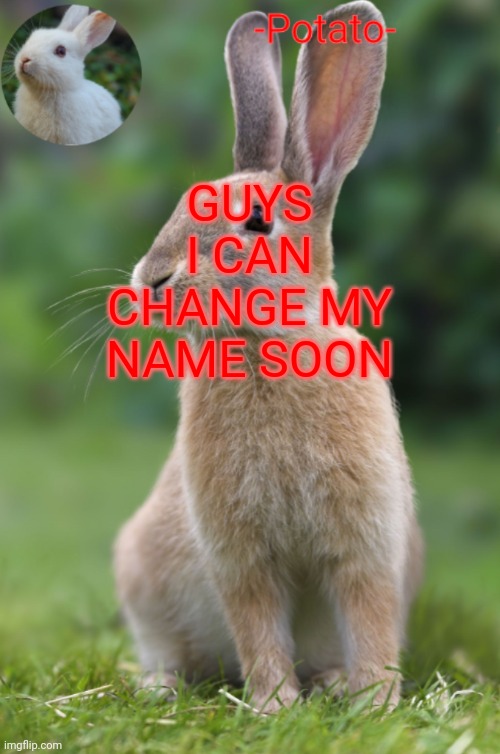 then a less satire name | GUYS I CAN CHANGE MY NAME SOON | image tagged in -potato- rabbit announcement | made w/ Imgflip meme maker