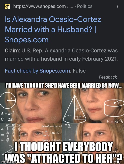 The comment I am referring to was a while ago... But I still had to make the joke ;D | I'D HAVE THOUGHT SHE'D HAVE BEEN MARRIED BY NOW... I THOUGHT EVERYBODY WAS "ATTRACTED TO HER"? | image tagged in calculating meme | made w/ Imgflip meme maker