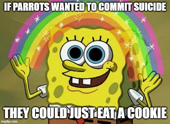 Imagination Spongebob Meme | IF PARROTS WANTED TO COMMIT SUICIDE; THEY COULD JUST EAT A COOKIE | image tagged in memes,imagination spongebob,funny | made w/ Imgflip meme maker