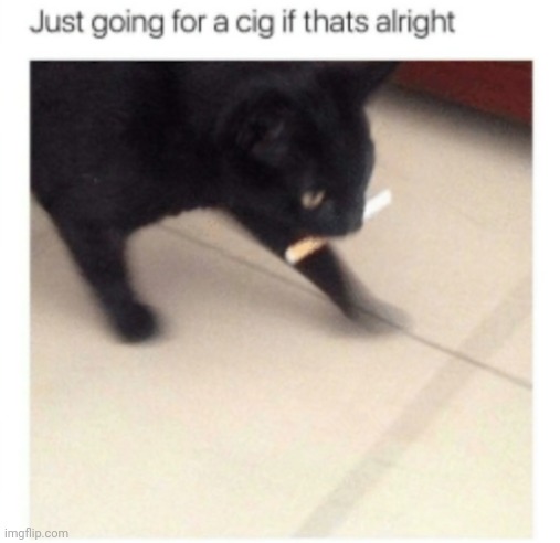 Just going for a cig if that's alright | image tagged in just going for a cig if that's alright | made w/ Imgflip meme maker
