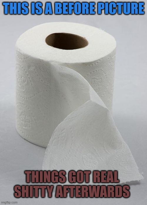 Before and after |  THIS IS A BEFORE PICTURE; THINGS GOT REAL SHITTY AFTERWARDS | image tagged in toilet paper,shitty meme,wipeout,memes,stinky,losers | made w/ Imgflip meme maker
