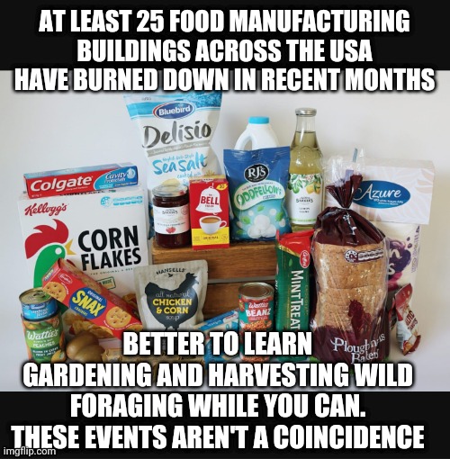 Be Ready | AT LEAST 25 FOOD MANUFACTURING BUILDINGS ACROSS THE USA HAVE BURNED DOWN IN RECENT MONTHS; BETTER TO LEARN GARDENING AND HARVESTING WILD FORAGING WHILE YOU CAN.
THESE EVENTS AREN'T A COINCIDENCE | image tagged in democrats,nwo,bill gates,liberals,green deal,joe biden | made w/ Imgflip meme maker