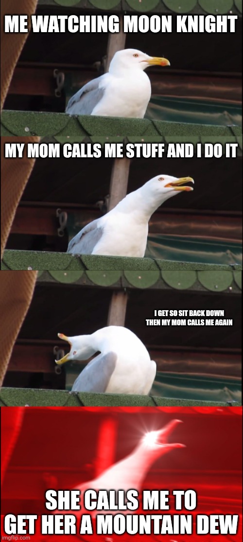 Inhaling Seagull Meme | ME WATCHING MOON KNIGHT; MY MOM CALLS ME STUFF AND I DO IT; I GET SO SIT BACK DOWN THEN MY MOM CALLS ME AGAIN; SHE CALLS ME TO GET HER A MOUNTAIN DEW | image tagged in memes,inhaling seagull | made w/ Imgflip meme maker