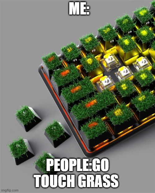 ... | ME:; PEOPLE:GO TOUCH GRASS | image tagged in original meme | made w/ Imgflip meme maker