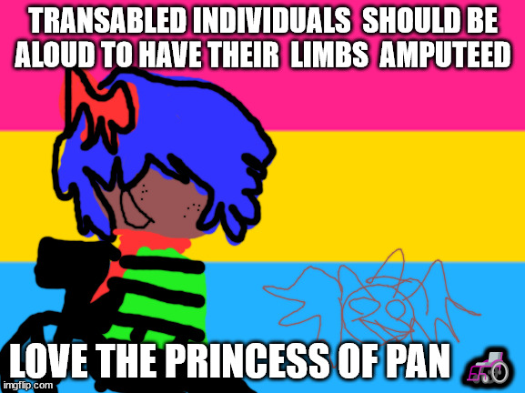 Pansexual flag | TRANSABLED INDIVIDUALS  SHOULD BE  ALOUD TO HAVE THEIR  LIMBS  AMPUTEED; LOVE THE PRINCESS OF PAN 🦽 | image tagged in pansexual flag | made w/ Imgflip meme maker