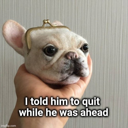 That's a little morbid | I told him to quit
 while he was ahead | image tagged in dog,purse,oh god why,remember,fido | made w/ Imgflip meme maker