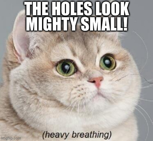 Heavy Breathing Cat Meme | THE HOLES LOOK MIGHTY SMALL! | image tagged in memes,heavy breathing cat | made w/ Imgflip meme maker