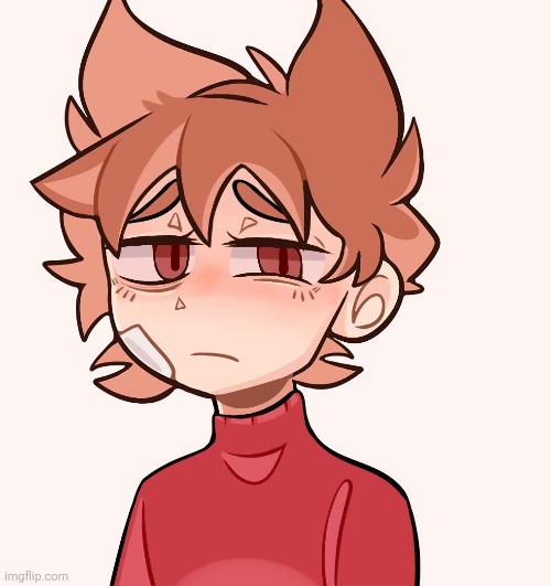 tord in a sweater >>>>>>>>>>> | made w/ Imgflip meme maker