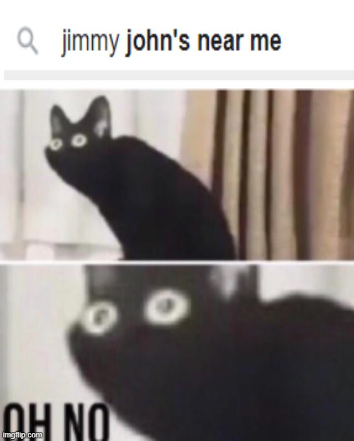 Idk if this makes sense | image tagged in oh no cat | made w/ Imgflip meme maker