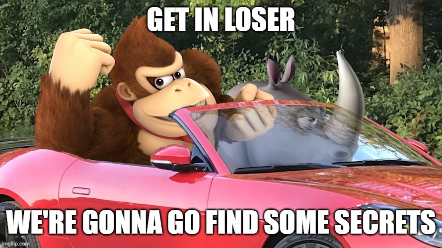 get in loser | GET IN LOSER; WE'RE GONNA GO FIND SOME SECRETS | image tagged in donkey kong | made w/ Imgflip meme maker