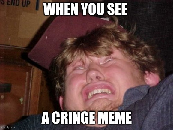 WTF | WHEN YOU SEE; A CRINGE MEME | image tagged in memes,wtf | made w/ Imgflip meme maker