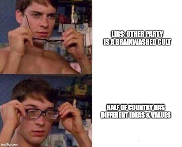 Not the lame cult bs | LIBS: OTHER PARTY IS A BRAINWASHED CULT; HALF OF COUNTRY HAS DIFFERENT IDEAS & VALUES | image tagged in spiderman glasses | made w/ Imgflip meme maker