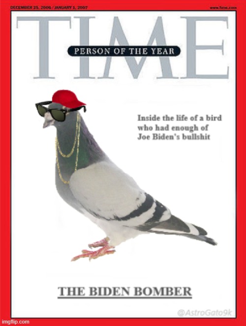 Smart Bird | image tagged in joe biden,lol,angry bird,smart | made w/ Imgflip meme maker